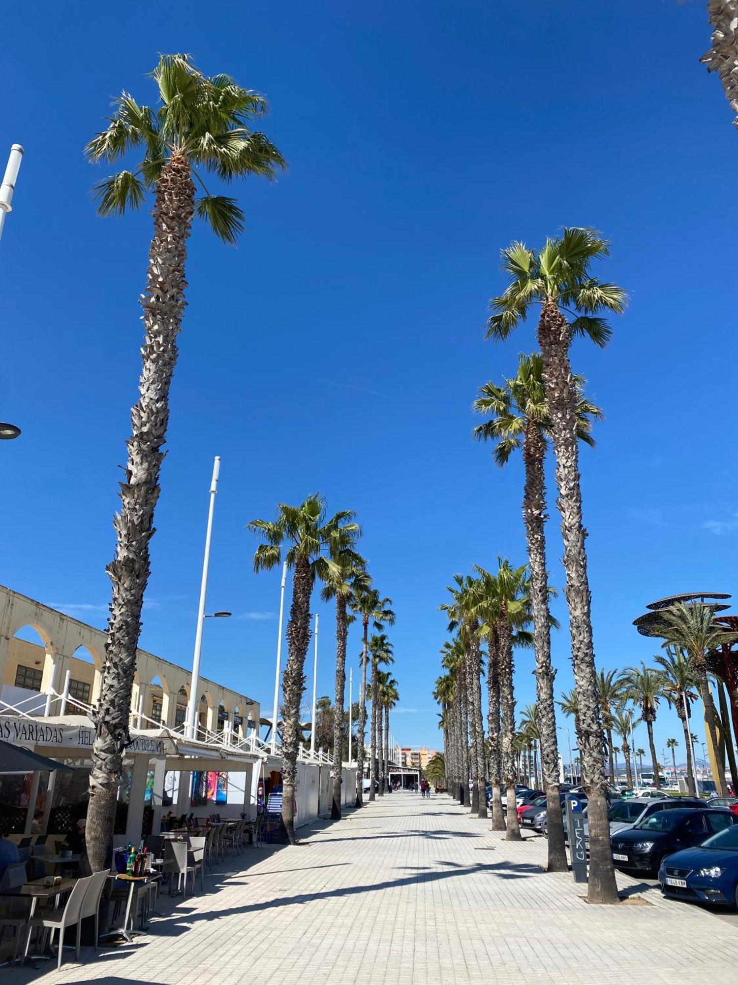 Apartment 13199, Next To The Beach In The Sun, Building Dms-2 La Pineda Εξωτερικό φωτογραφία